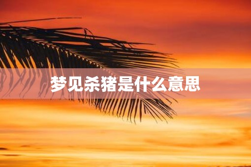 梦见杀猪是什么意思