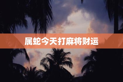 属蛇今天打麻将财运