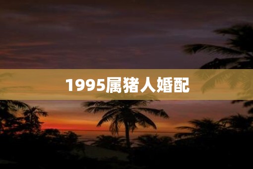 1995属猪人婚配