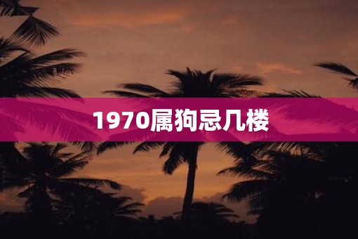 1970属狗忌几楼