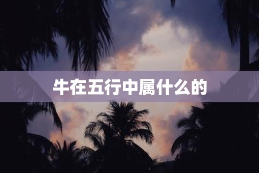 牛在五行中属什么的