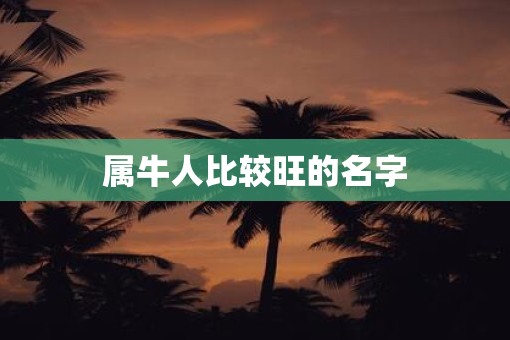 属牛人比较旺的名字