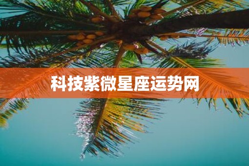 科技紫微星座运势网