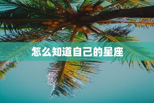 怎么知道自己的星座