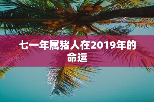 七一年属猪人在2019年的命运