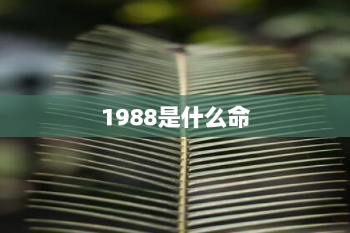 1988是什么命