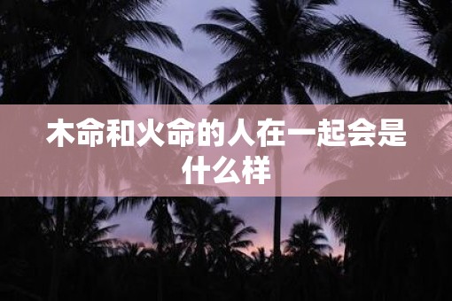 木命和火命的人在一起会是什么样