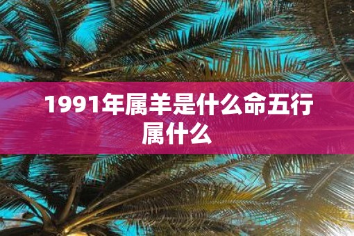 1991年属羊是什么命五行属什么