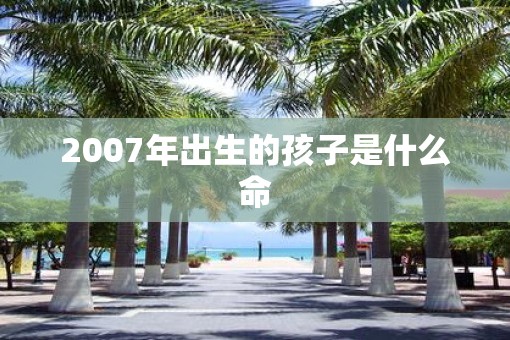 2007年出生的孩子是什么命