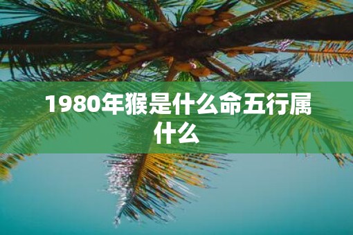 1980年猴是什么命五行属什么