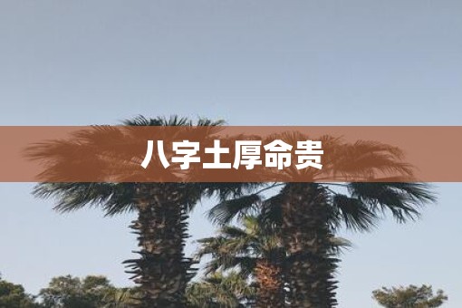 八字土厚命贵