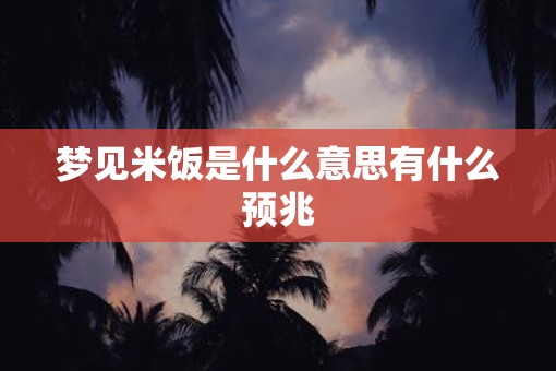 梦见米饭是什么意思有什么预兆