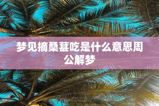 梦见摘桑葚吃是什么意思周公解梦