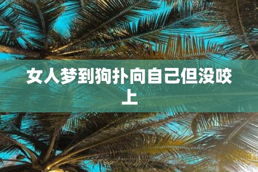 女人梦到狗扑向自己但没咬上