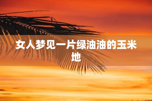 女人梦见一片绿油油的玉米地