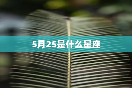 5月25是什么星座