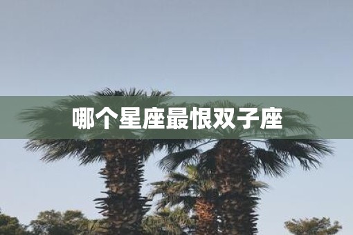 哪个星座最恨双子座