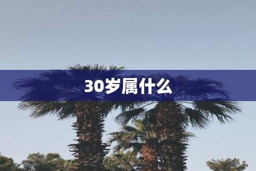 30岁属什么