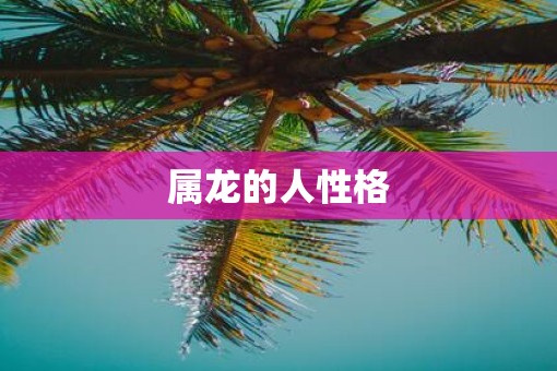 属龙的人性格