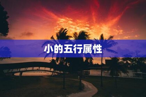 小的五行属性