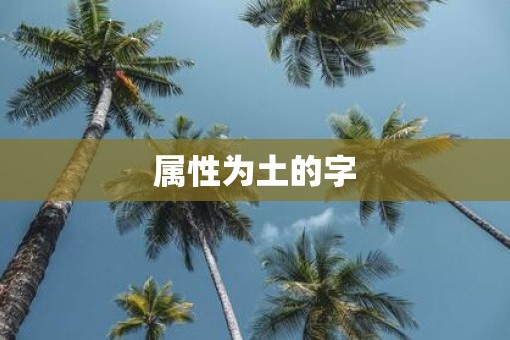 属性为土的字