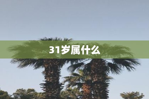 31岁属什么