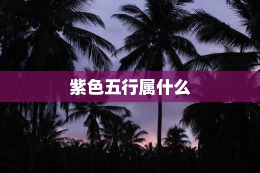 紫色五行属什么