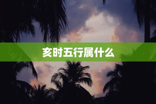 亥时五行属什么