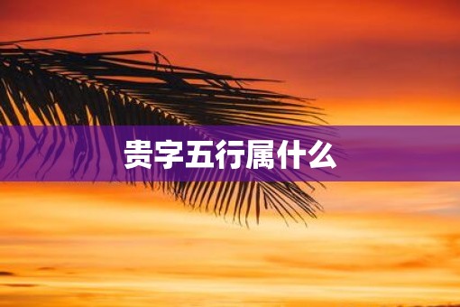 贵字五行属什么