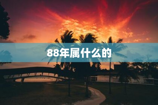 88年属什么的