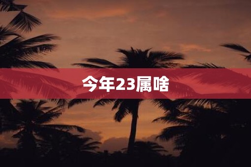 今年23属啥