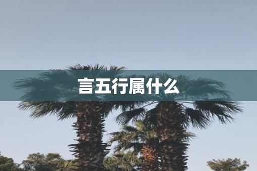 言五行属什么