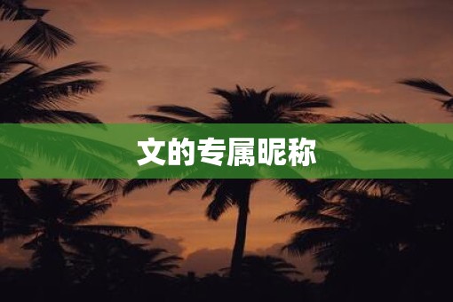 文的专属昵称