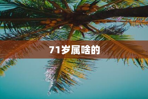 71岁属啥的