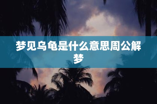 梦见乌龟是什么意思周公解梦