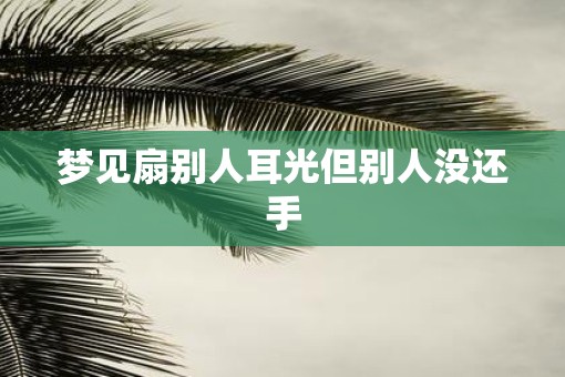 梦见扇别人耳光但别人没还手