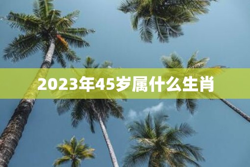 2023年45岁属什么生肖