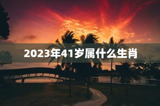 2023年41岁属什么生肖