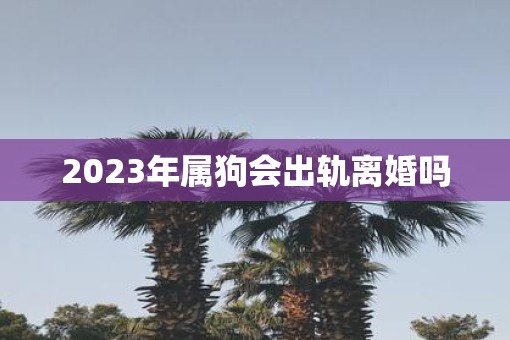 2023年属狗会出轨离婚吗