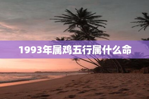 1993年属鸡五行属什么命