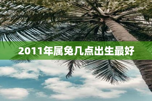 2011年属兔几点出生最好