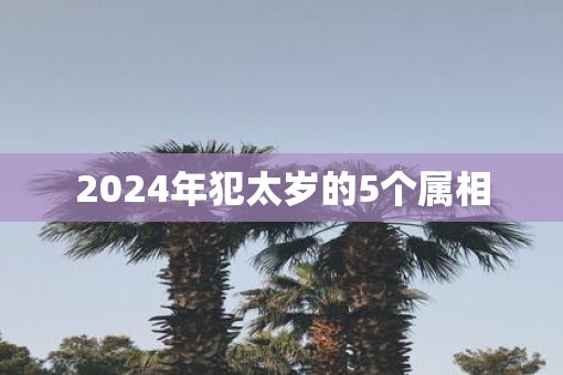 2024年犯太岁的5个属相