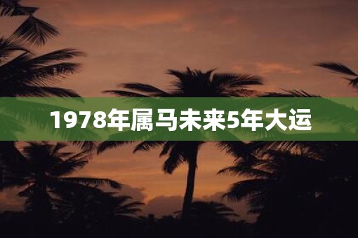 1978年属马未来5年大运