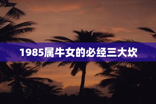 1985属牛女的必经三大坎