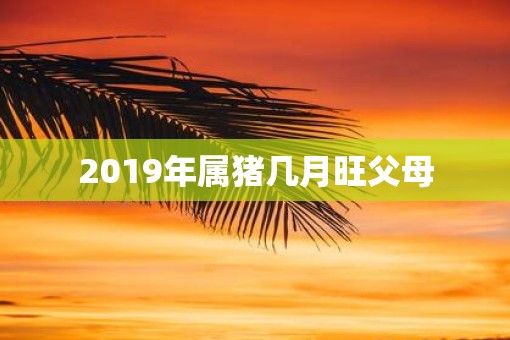 2019年属猪几月旺父母