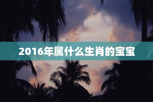 2016年属什么生肖的宝宝