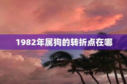 1982年属狗的转折点在哪