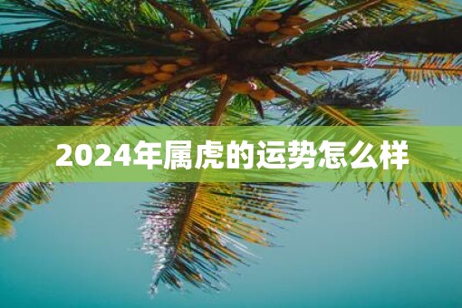 2024年属虎的运势怎么样