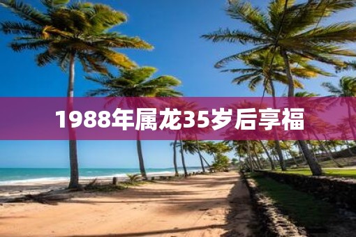 1988年属龙35岁后享福