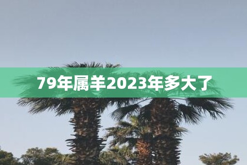 79年属羊2023年多大了